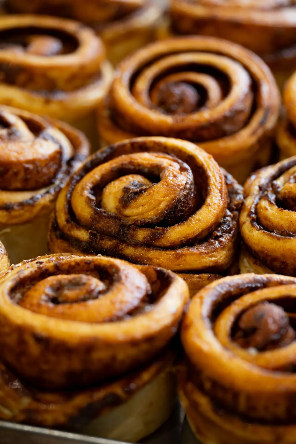 cinnamon roll jeremys kitchen