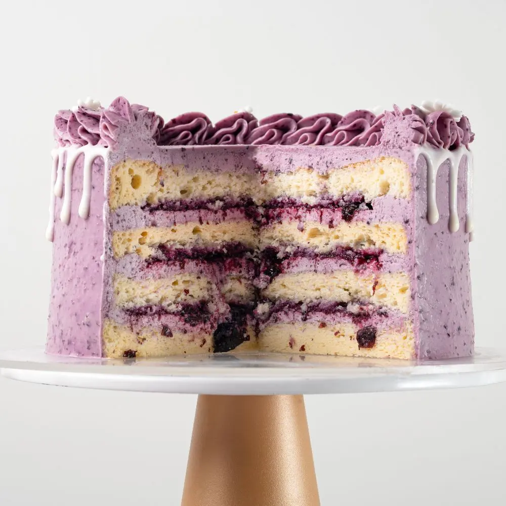 Blueberry-Lemonade.webp