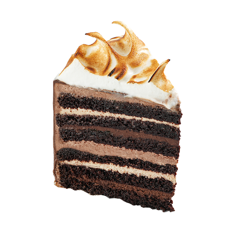 Devil's Food Slice