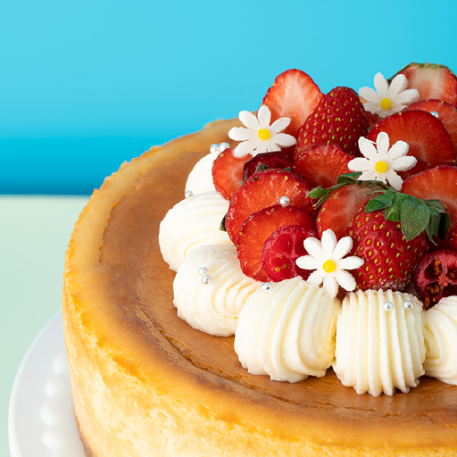 [P-BDC-041] New York Cheesecake