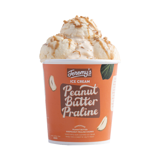 [P-ICE-006] Peanut Butter Praline Ice Cream
